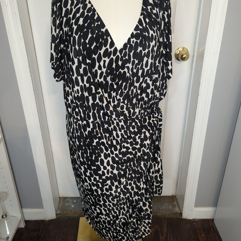 Igigi Black and Cream Dress